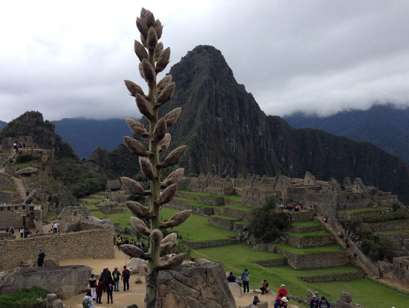peru_explorevan_machupicchu