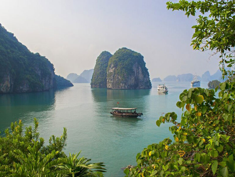 home-vietnam1