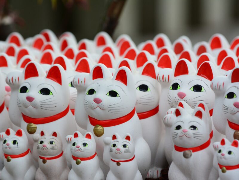 omadika_taxidia_explorevan_japan